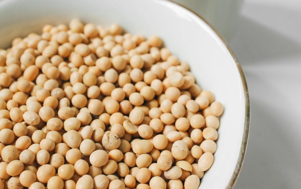 Vegetarian protein foods infographic: paneer, sprouts, dals, soya beans